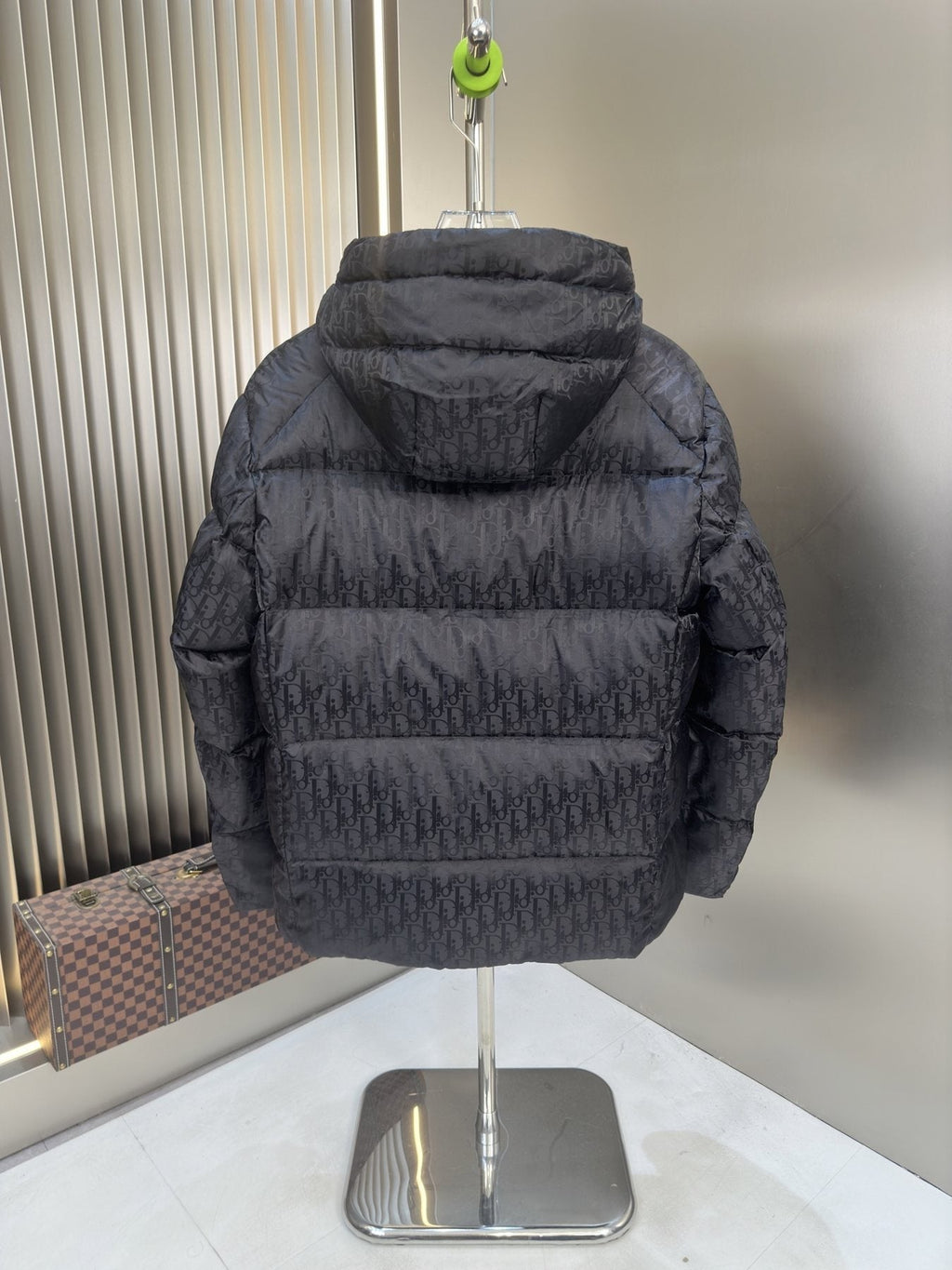 Dior Tonal Monogram Hooded Puffer Jacket