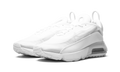 Air Max 2090 "Triple White" BV9977 100
